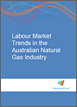 Labour Market Trends in the Australian Natural Gas Industry